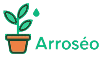 Arroseo