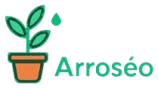 Arroseo