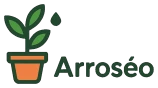 Arroseo